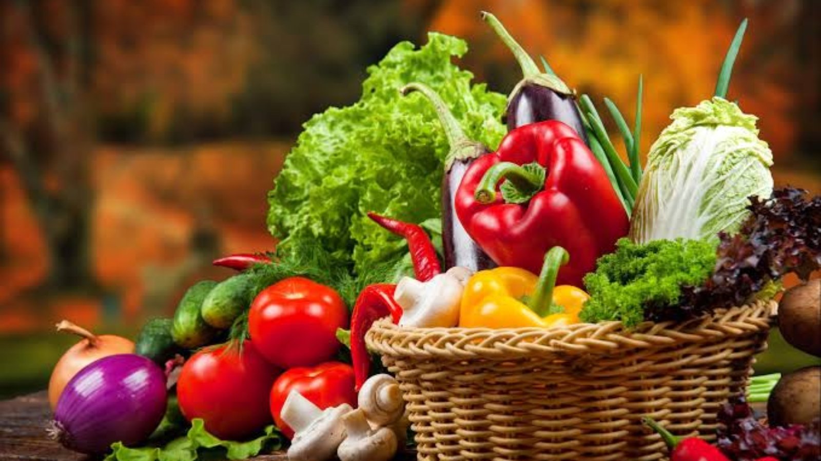 Sayur Organik